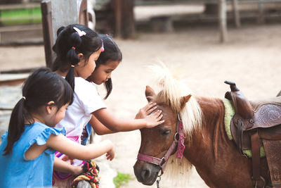 Girls touching horse while standing at farm