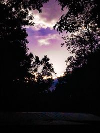 Silhouette trees against sky at night