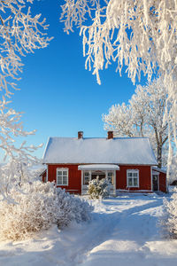 Red cottage in a cold winter garden