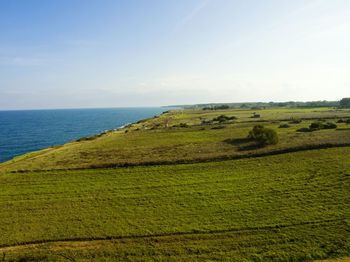 Scenic view of green field by sea against sky
