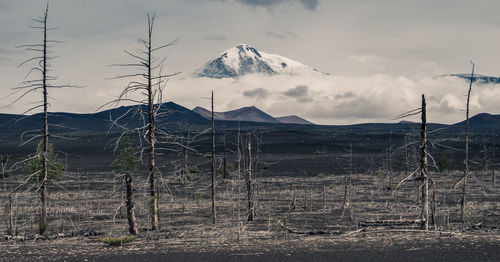 Scenic view of land against sky