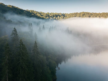 Aerial view of foggy forest and mountain lake at sunrise