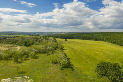 Scenic view of agricultural field against sky