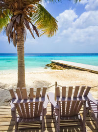 View of palm trees on beach