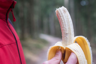 Close-up of hand holding banana