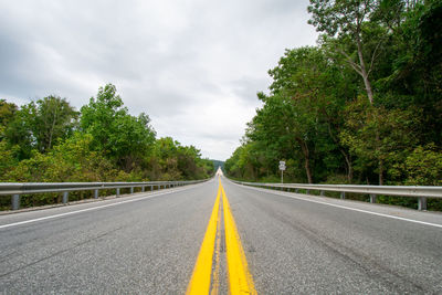 Surface level of empty road along trees