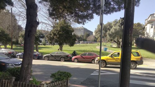 Cars on road by trees in city