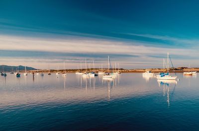 Sailboats in marina