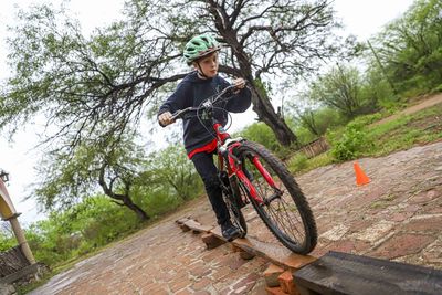 Low angle view of man riding bicycle on tree