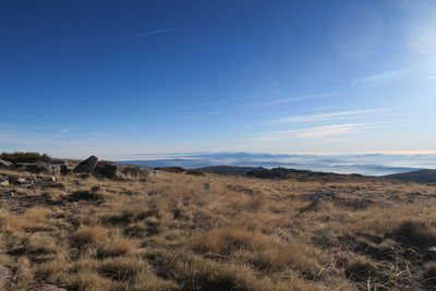 Scenic view of field and mountains against sky