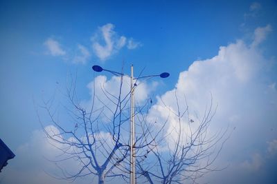 Low angle view of bare trees against blue sky