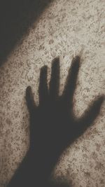 Shadow of people on wall