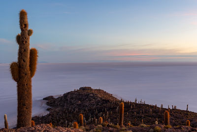 Scenic view of sea against sky during sunset