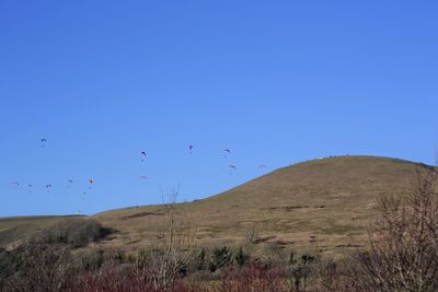 Birds flying over landscape against clear blue sky