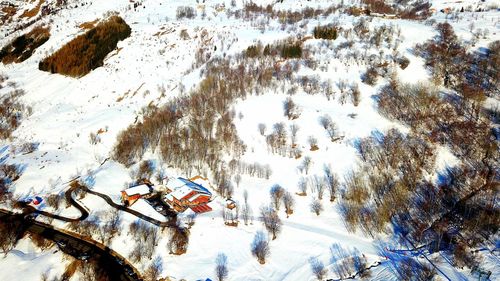 High angle view of trees on snow covered field