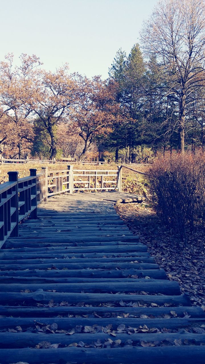 tree, clear sky, steps, railing, built structure, nature, sky, branch, the way forward, tranquility, beauty in nature, steps and staircases, tranquil scene, bare tree, architecture, outdoors, scenics, no people, sunlight, day