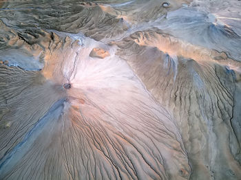 High angle view of a bird