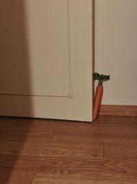 High angle view of man standing on hardwood floor