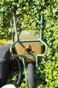 Plants against trees