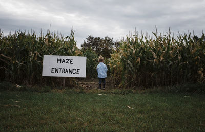 Rear view of girl standing by maze entrance sign at corn field