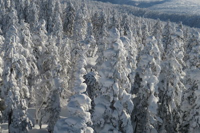 High angle view of snow covered land