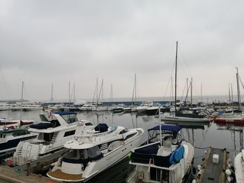 Sailboats moored in harbor