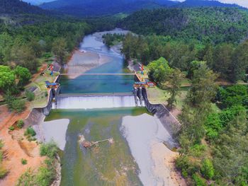 High angle view of river amidst trees
