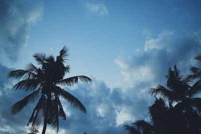 Low angle view of palm trees against blue sky