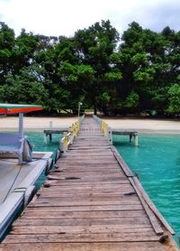 View of boardwalk along plants and trees