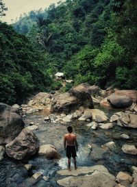 Rear view of man standing on rock against trees