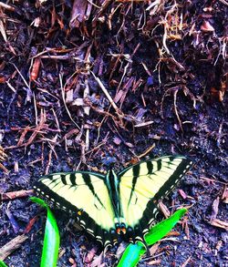 Full frame shot of white background