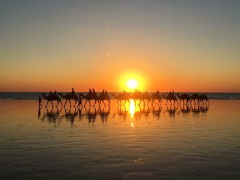 Silhouette people riding on camels at seashore against sky during sunset