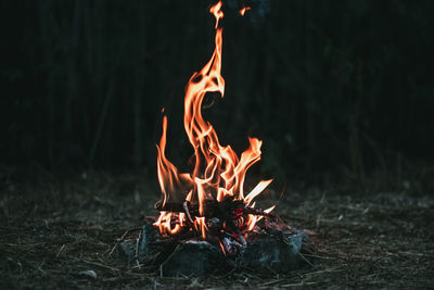 Close-up of fire on field at night