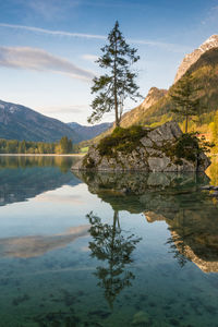 Scenic view of lake by trees against sky