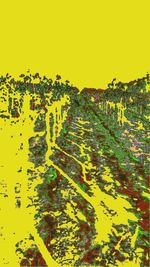 Plants growing on field against clear sky