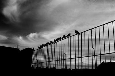 Low angle view of silhouette birds against sky