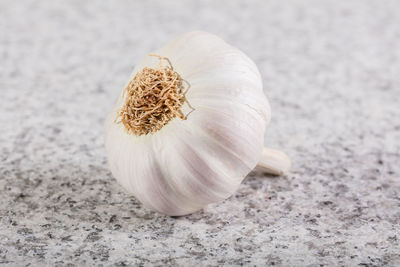 Close-up of bread on white surface