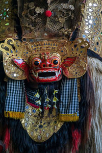 Close-up of mask