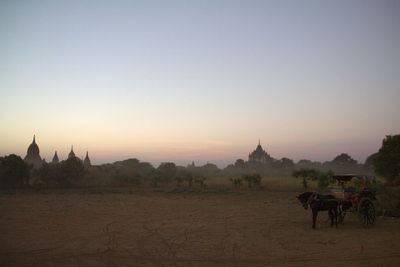 Horse cart at bagan archaeological zone against sky during sunset