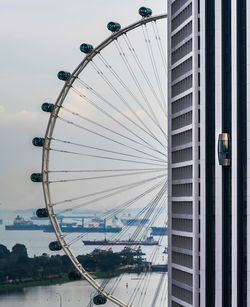 Low angle view of ferris wheel in city