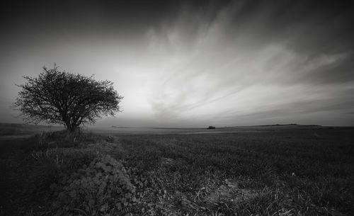 Scenic view of field against sky