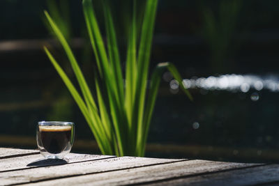 Close-up of drink on table