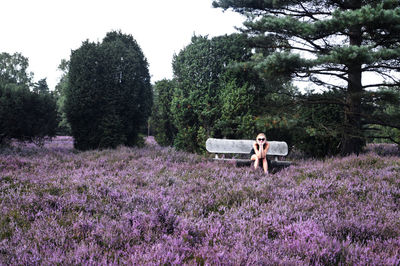 Woman sitting on bench amidst purple plants and trees on field at farm