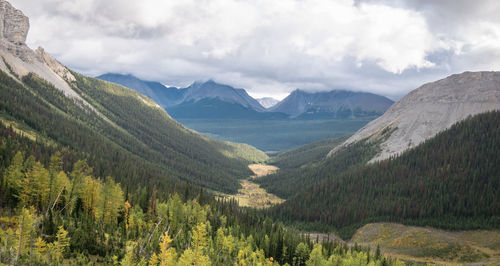 View on alpine valley with forest and mountains,mount smutwood,kananaskis, alberta, canada