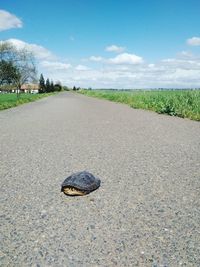 Pebbles on beach against sky