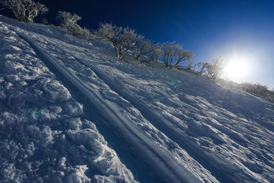 Scenic view of snow covered trees against sky