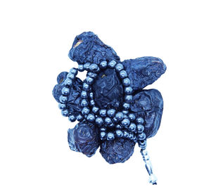 High angle view of blue flower against white background