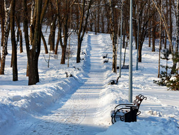 Winter park, wooden benches in snowdrifts along a cleared path in the snow in a park on a sunny day.