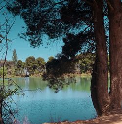 Scenic view of lake in forest against sky