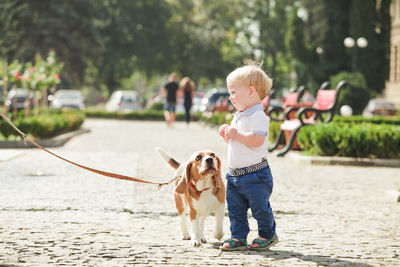 Full length of a dog looking away in city